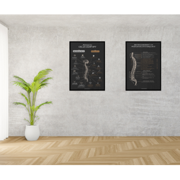 Plakat- Układ nerwowy Model I - czarny B2